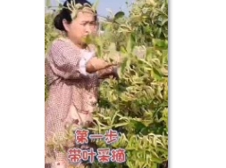 加工分級視頻